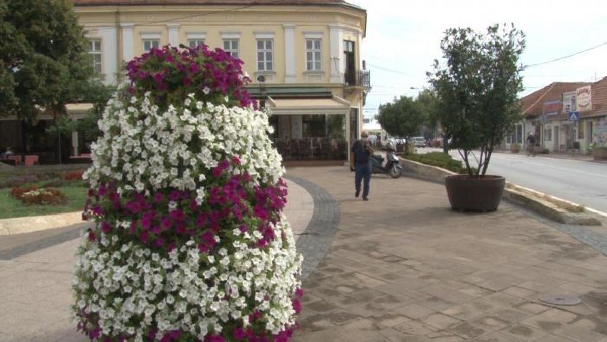 Градски Трг - Цветно место за уживање