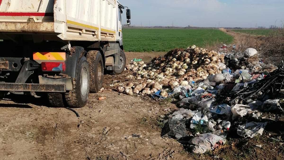 Очишћена дивља депонија у Скели