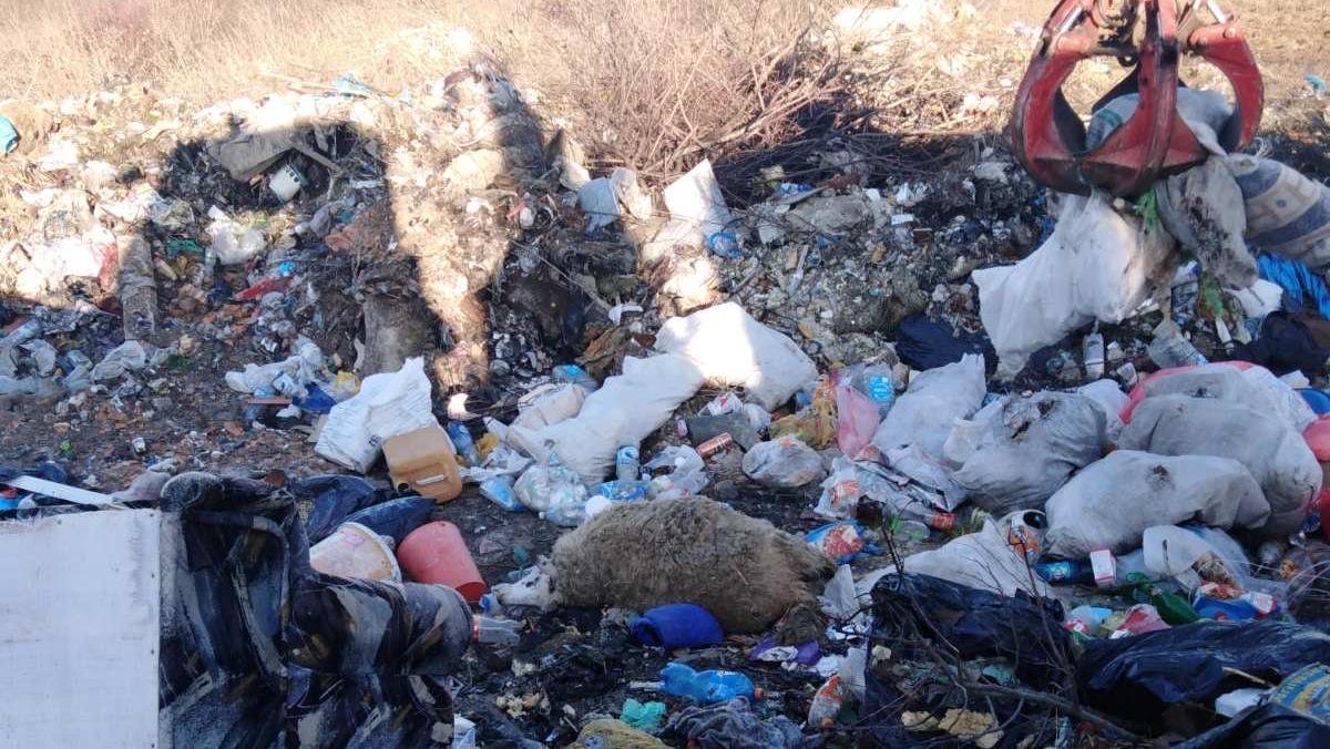 Очишћена дивља депонија у Иверићу