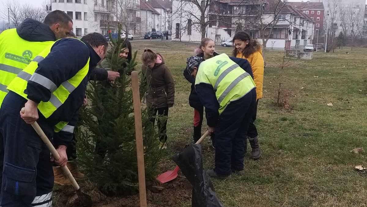 Простор измедју базена и малог парка богатији за још једну јелку