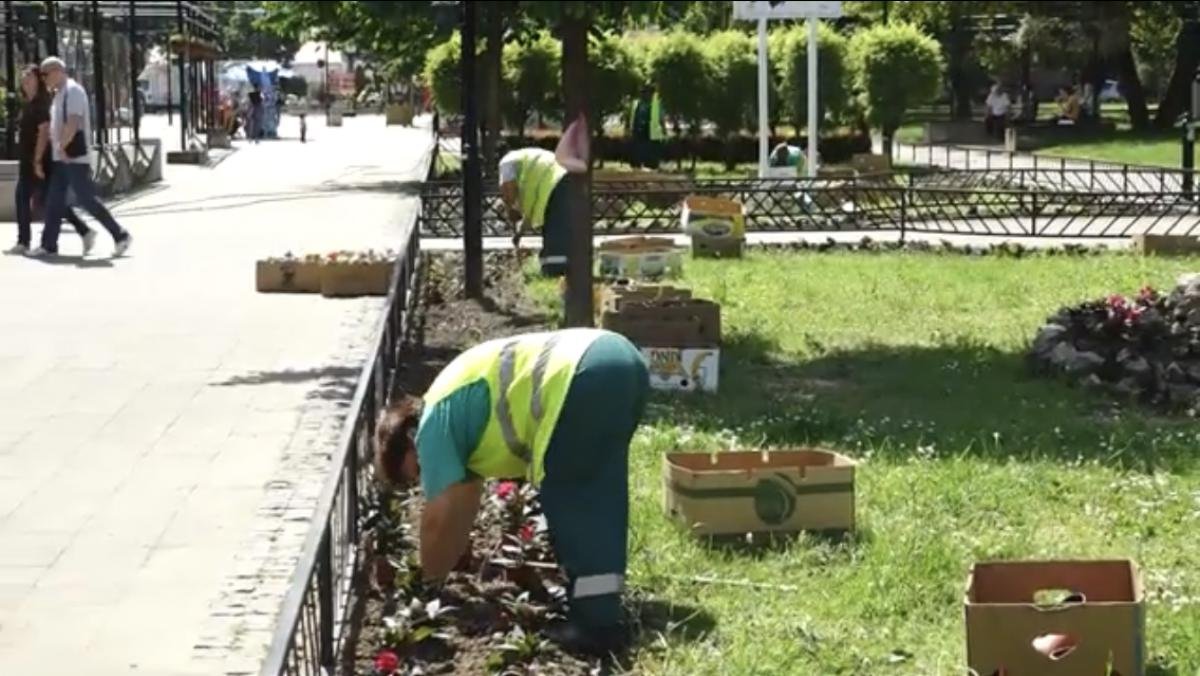 Градски трг је постао цветна оаза