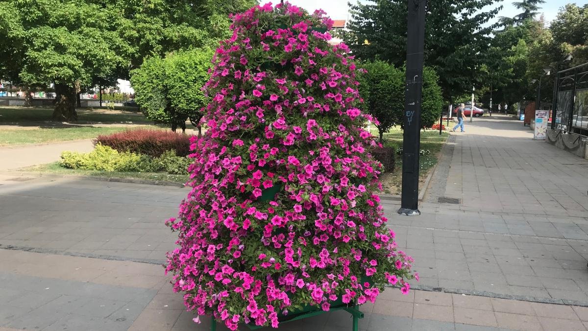 Припрема за пролећну садњу цвећа