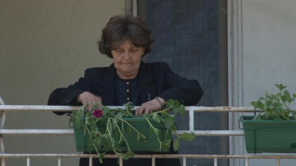 Цвеће на поклон за лепши центар града
