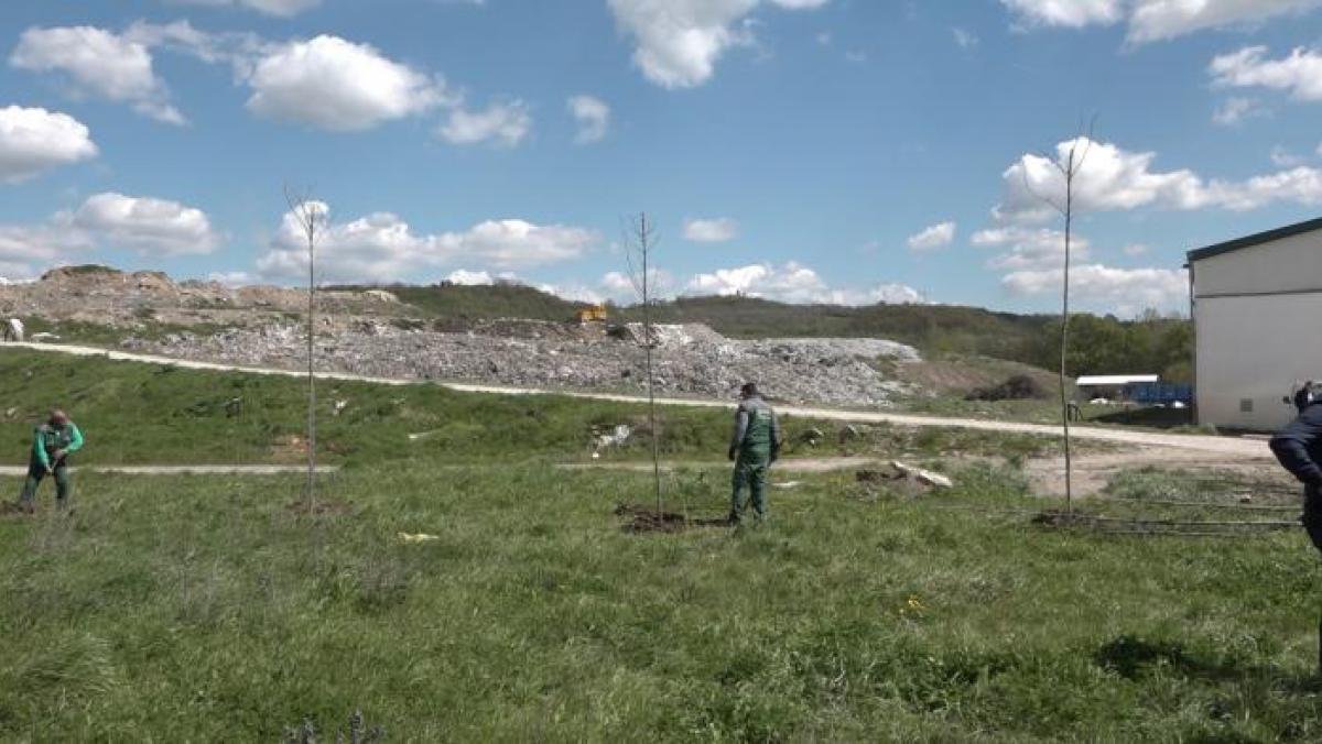 Дрвеће као заштитни појас на градској депонији